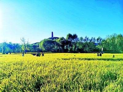 至少31園，約18個故宮大小！三山五園，竟有這麼多鮮為人知的細節