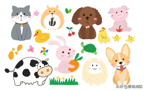 “藍朋友”與小動物的聊天室……