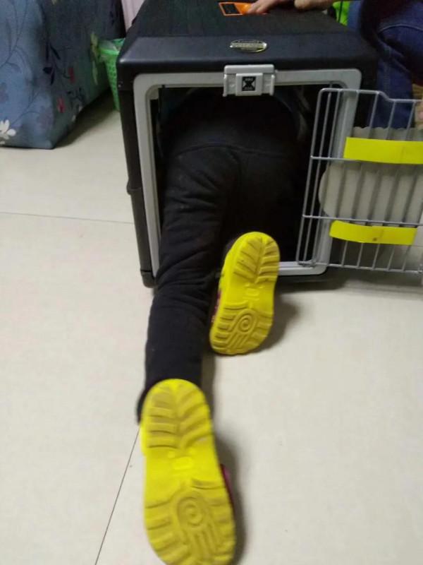 米莎，真的相忘於江湖嗎？