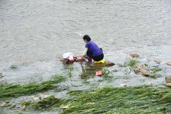 2014年，廣西一男孩靠吃野菜生存，母親卻因有苦衷未相認
