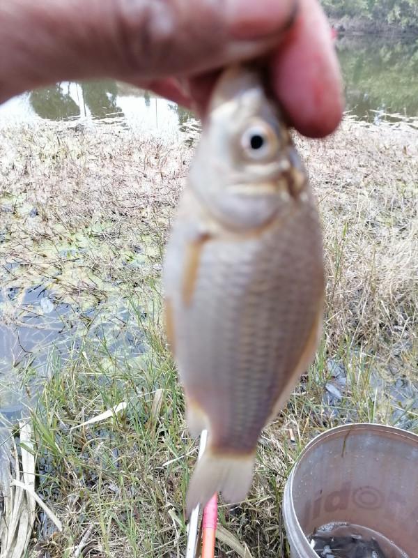村裡小草塘也能爆桶？一起來看看