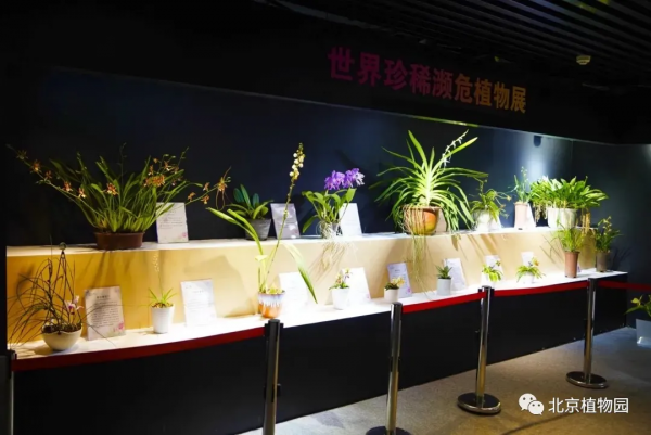 橙黃橘綠時,與您共相約 橙黃橘綠時,與您共相約