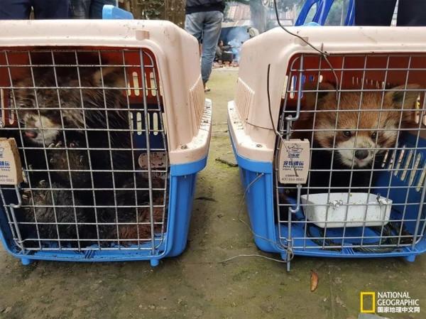 原來我們被幹脆面騙了好多年 原來我們被幹脆面騙了好多年