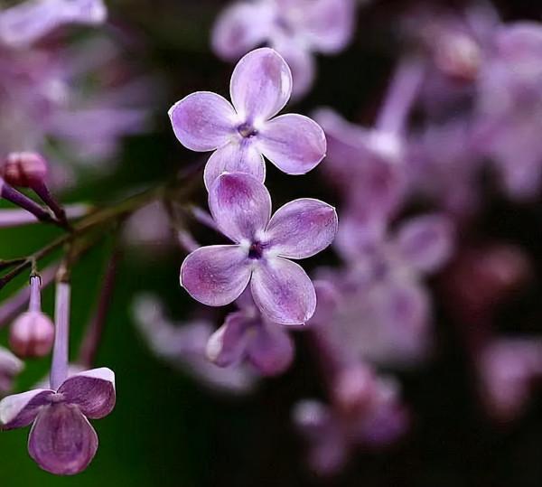 透過細節看一個人的本質,有些現象,還挺準的 透過細節看一個人的本質,有些現象,還挺準的