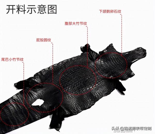 關於鱷魚皮錶帶的小知識,你瞭解多少呢? 關於鱷魚皮錶帶的小知識,你瞭解多少呢?