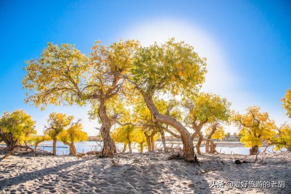 秋天旅遊一定要去的3個景區,每個都美得讓人沉醉,可惜時間太短 秋天旅遊一定要去的3個景區,每個都美得讓人沉醉,可惜時間太短