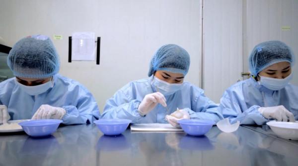 燕窩是怎麼形成的？看完燕窩加工全過程，你還敢吃嗎？