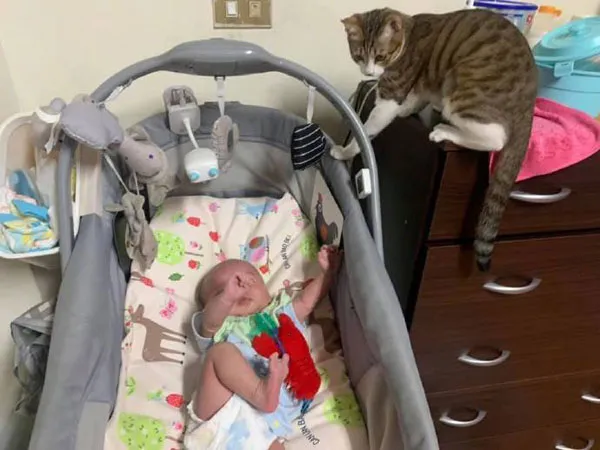 貓在嬰兒床睡覺，寶寶一哭，它立馬就跑開了，逃得真快