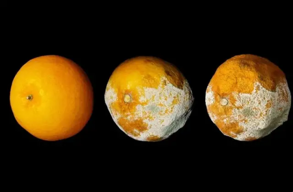 同為癌，原位癌、微浸潤癌、浸潤癌有何區別？