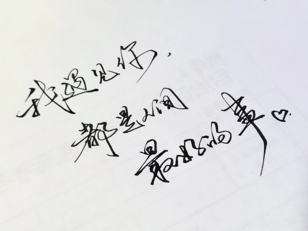 折梅伴素琴，輕收一窗月，長夜好讀書，煮茶待飛雪