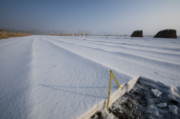 從形成到堆積，人造雪與自然雪有哪些不同？