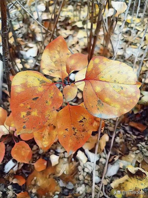 你走，我不送你