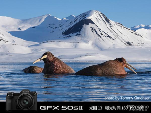 年輕人第一臺中畫幅！富士GFX 50SII魅力無法擋