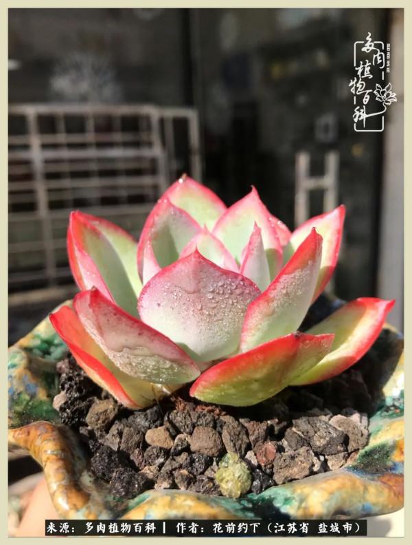 你儘管善良,福報都在路上 你儘管善良,福報都在路上