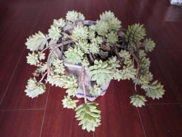 不捨，也是一種貪&hellip;&hellip;