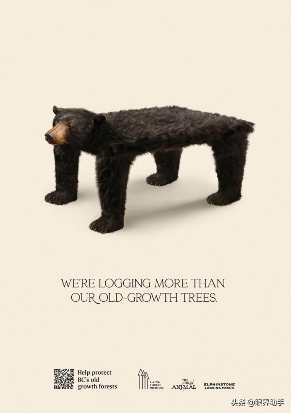 砍伐的不僅僅是樹木