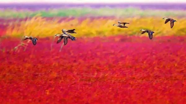 江蘇文旅頭條 |江蘇新晉10家國家4A級旅遊景區,“美的風光”再擴容“朋友圈” 江蘇文旅頭條 |江蘇新晉10家國家4A級旅遊景區,“美的風光”再擴容“朋友圈”
