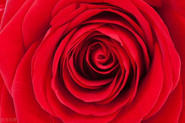 開悟吟——天道開 悟透道德晷