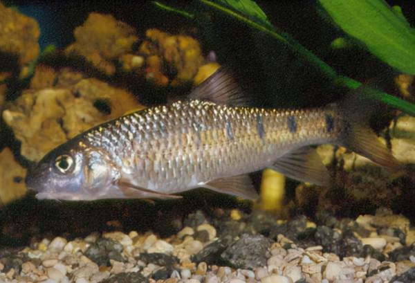 這個《長津湖》的取景地,沒想到還是座隱藏的美食天堂 這個《長津湖》的取景地,沒想到還是座隱藏的美食天堂