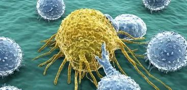 「Science」癌細胞還有什麼狡猾的手段來逃脫免疫系統?科學家帶你一探究竟 「Science」癌細胞還有什麼狡猾的手段來逃脫免疫系統?科學家帶你一探究竟