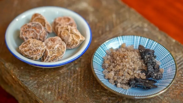 梅子的“最高境界”，是老祖宗的“護咽法寶”