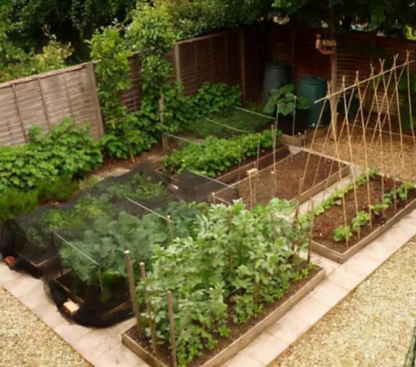 這才是院子該有的樣子！70後大叔的庭院，那叫一個漂亮，快來瞧瞧