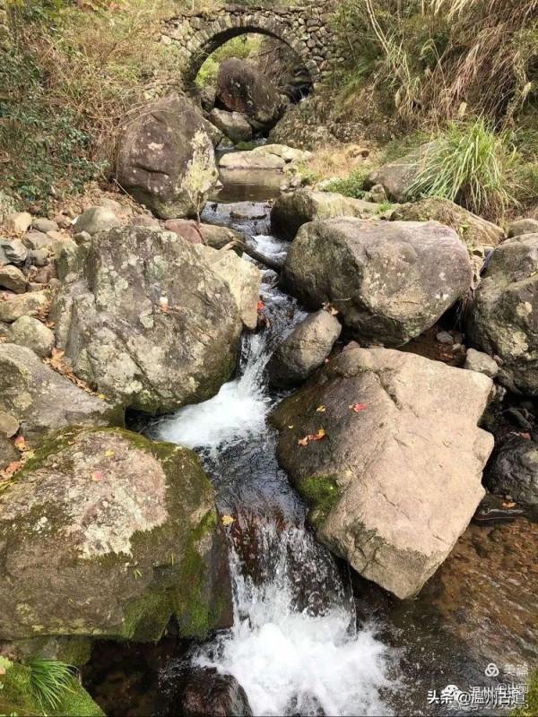 這條被譽為“浙江西南第一嶺”的紅楓古道你去過嗎？