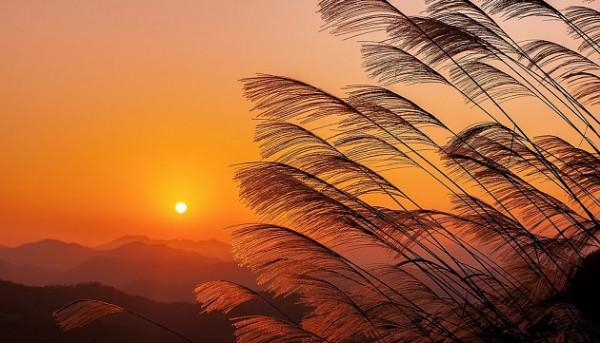 兄弟姐妹情同陌路，除了父母偏心外，還有以下幾個原因