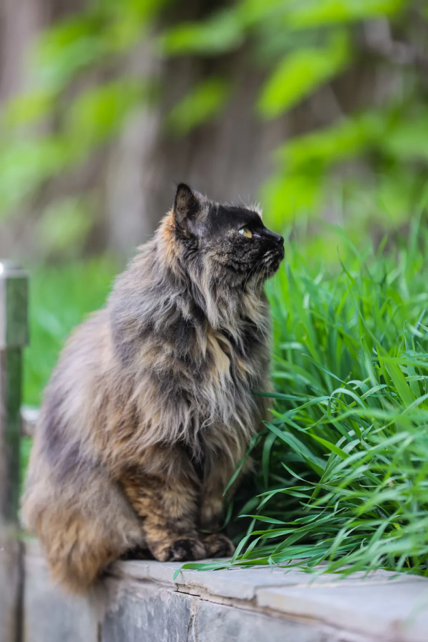 我像風一樣自由 我像風一樣自由
