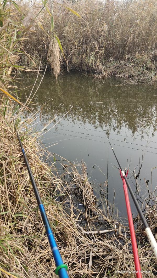 「十週年」野釣小河溝，大爺送鯽魚，這次終於找到了大爺的快樂