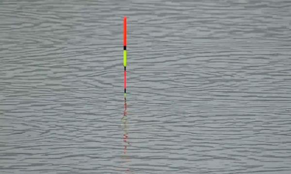 野釣遇到魚口太輕怎麼辦,不妨試試這三招,輕口馬上變頓口 野釣遇到魚口太輕怎麼辦,不妨試試這三招,輕口馬上變頓口