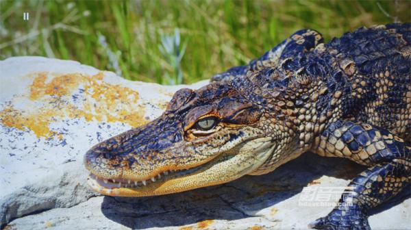 ViewSonic（優派）TX5000K：客廳百寸大屏市場的有力競爭者，擁有搶眼色彩的LED超短焦投影新貴