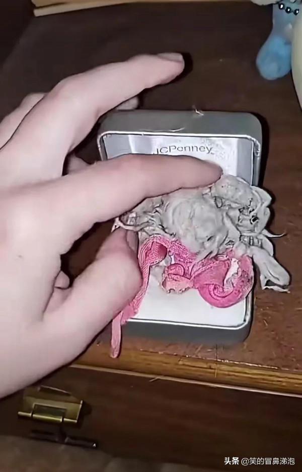 那些陪你長大的小毯子還在嗎？