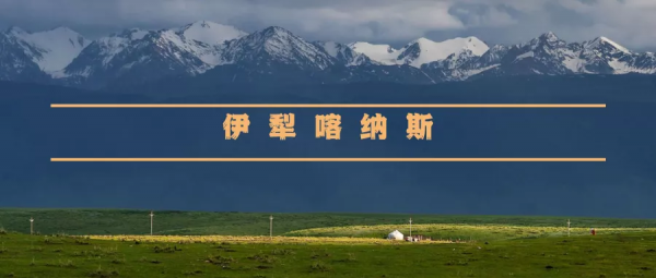 2022全年53條自駕路線上線，每一條都美哭了！你想要的，我們都有