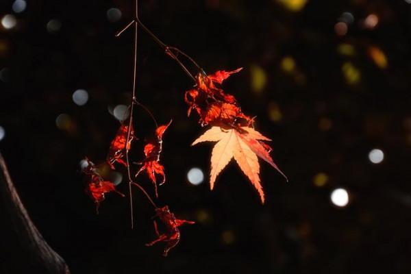 這三件小事，看著沒什麼，其實容易得罪人，情商高的人不會做