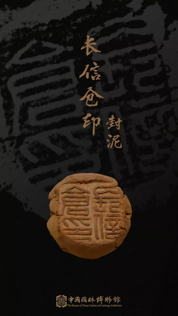 同行八載，中國園林博物館與我們共度春秋