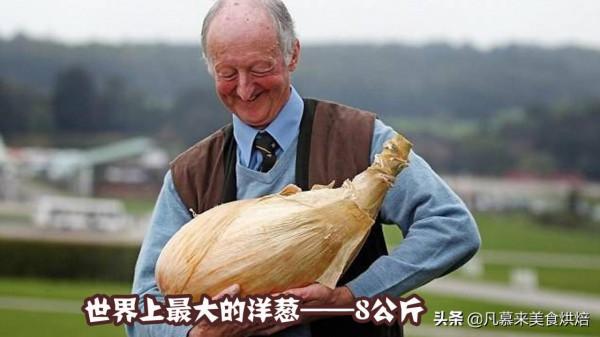 盤點18種全球最大的水果、蔬菜,都是常見的,卻大到讓人瞠目結舌 盤點18種全球最大的水果、蔬菜,都是常見的,卻大到讓人瞠目結舌