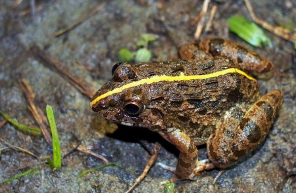 海南海口：城市公園裡的奇妙眾生相