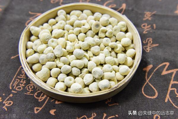 喝水都長肉？講兩個方子，一個化痰，一個清熱，給胖子減減肥