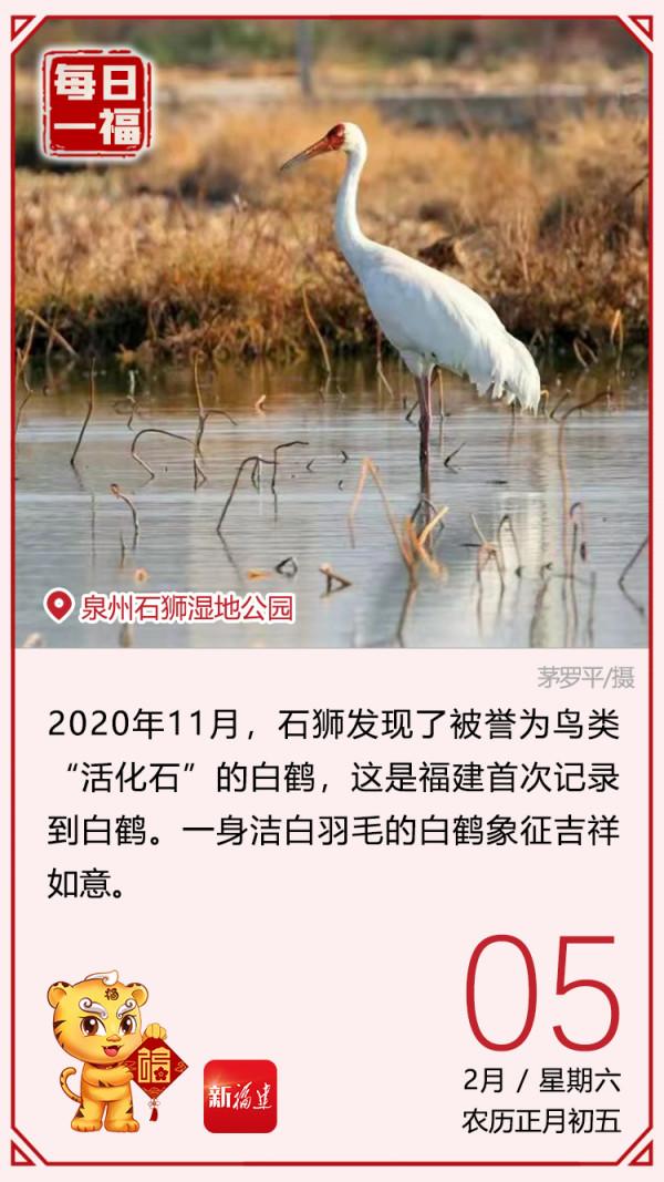 每日一福｜祥鶴入閩