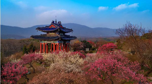 1946年老蔣下令平毀汪精衛墓，開棺後發現屍體未腐，口袋有張紙條