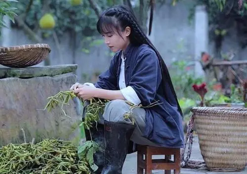 李亞鵬欠債4000萬後，挖走李子柒團隊當起網紅？曾兩度被罵