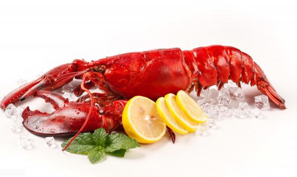 龍蝦理論上是能永生的，只是它們偏不