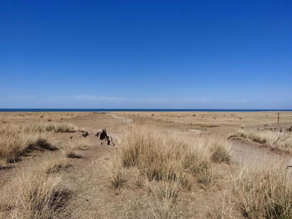 說說自駕遊開什麼車? 說說自駕遊開什麼車?