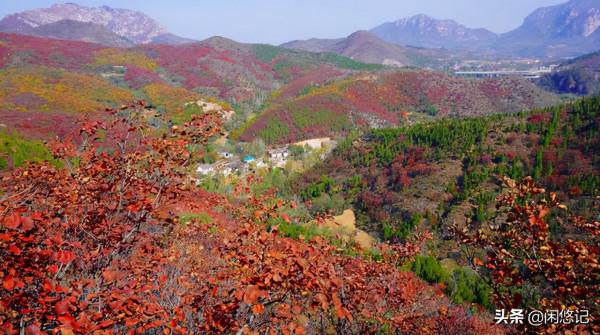 本想獨擁一山紅葉,無意中卻發現汝州大峪火石溝一處山水秘境 本想獨擁一山紅葉,無意中卻發現汝州大峪火石溝一處山水秘境