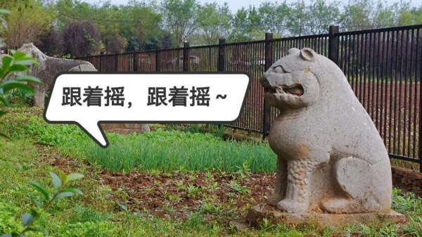 虎年看啥？文物中的虎元素來給您拜個年