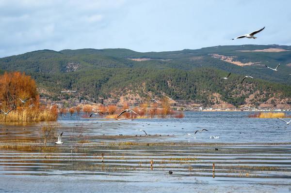 麗江小眾旅遊景點,雲南首個以“溼地”命名的保護區,景美人少 麗江小眾旅遊景點,雲南首個以“溼地”命名的保護區,景美人少