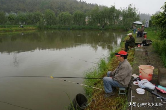 釣魚掌握好這4點“黃金因素”，新老釣友都能提竿到手軟