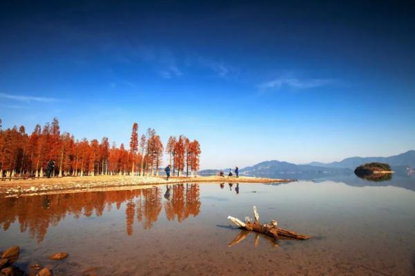 中國秋色正在上演!這9條自駕線,帶你領略不一樣的秋色 中國秋色正在上演!這9條自駕線,帶你領略不一樣的秋色