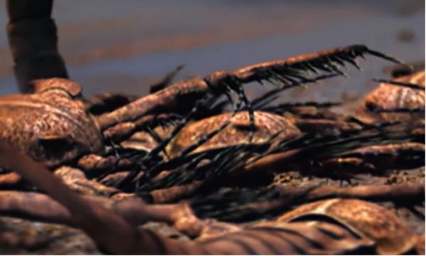 史前動物廣翅鱟：專吃海洋“浮屍”，4億年前最先登陸地面的動物